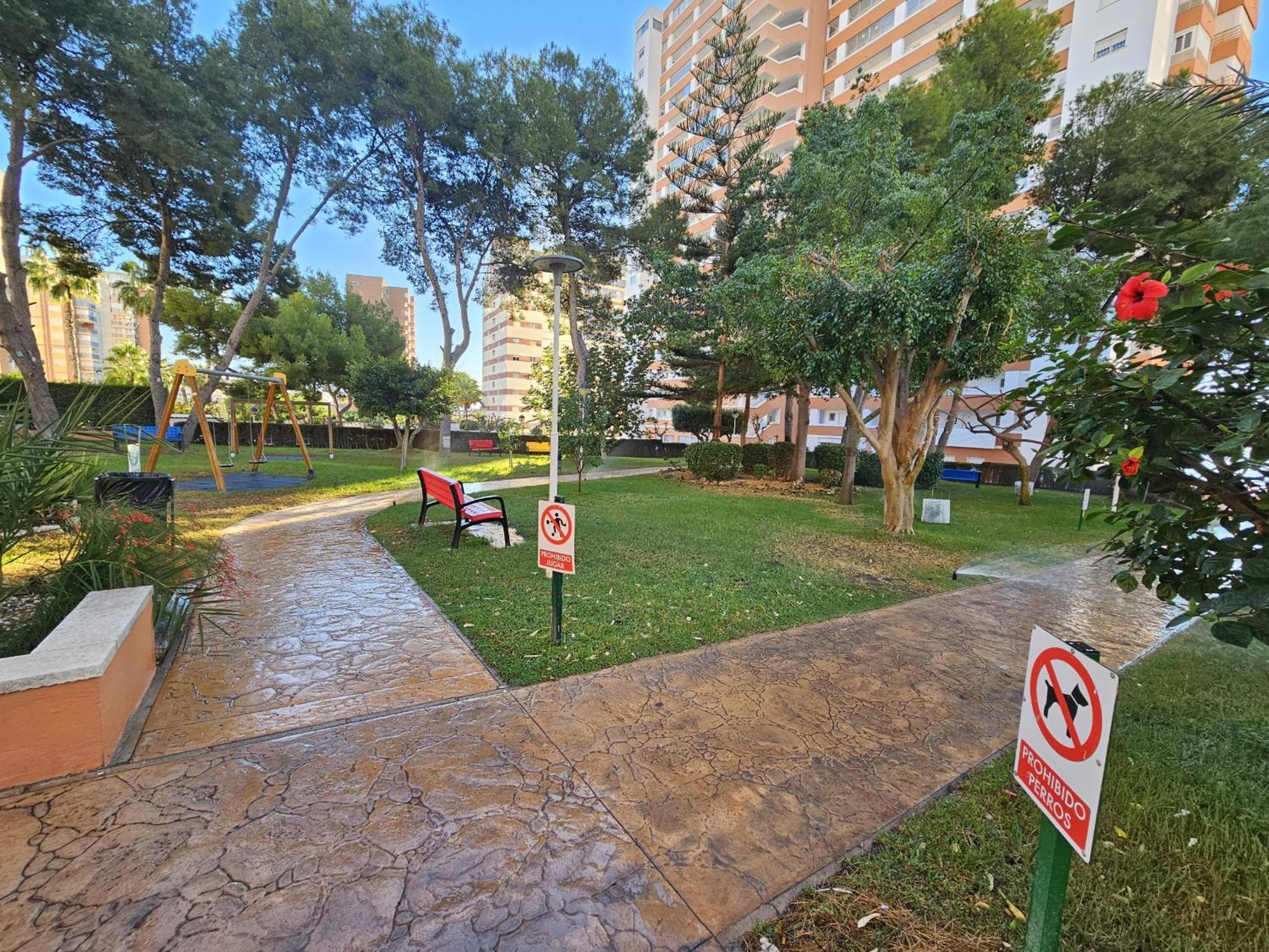 Apartamento Provima B 16 If Benidorm Bagian luar foto